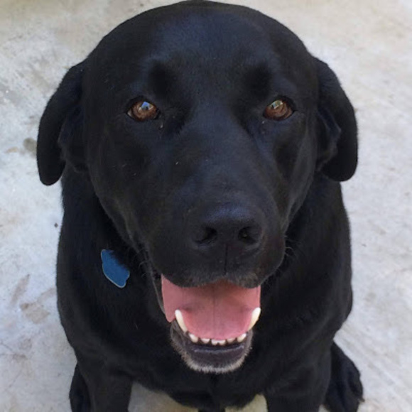 Meet your Posher, Micah - Picture 1 of 1